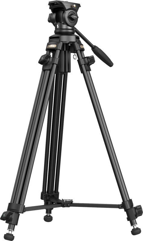 fn:128457:01