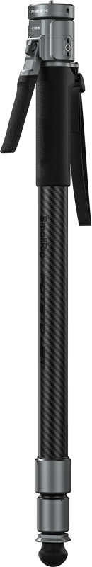 fn:137229:01