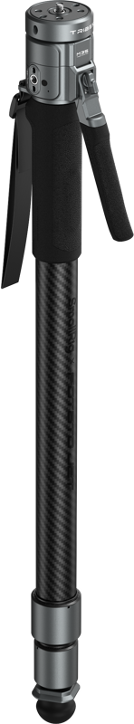 fn:137229:02
