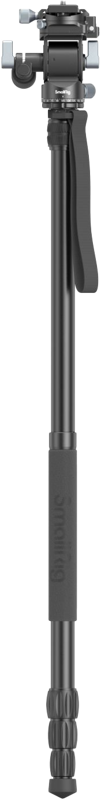 fn:125384:04