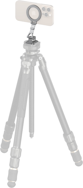 fn:131254:04