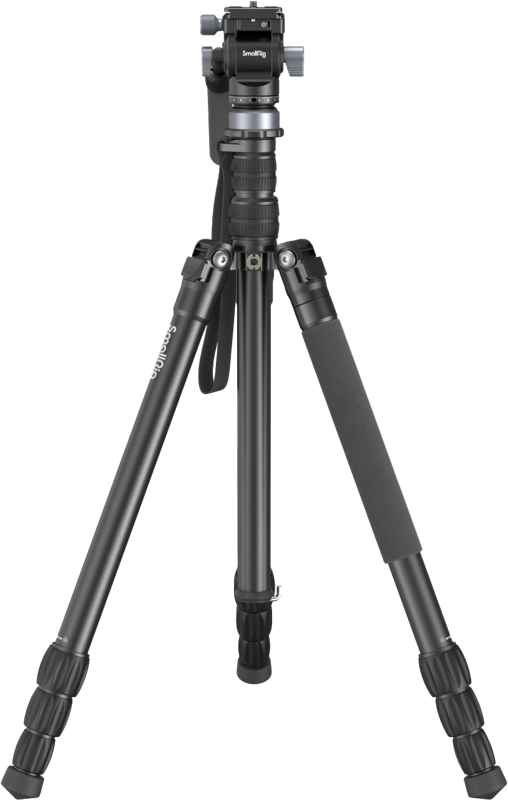 fn:125021:01
