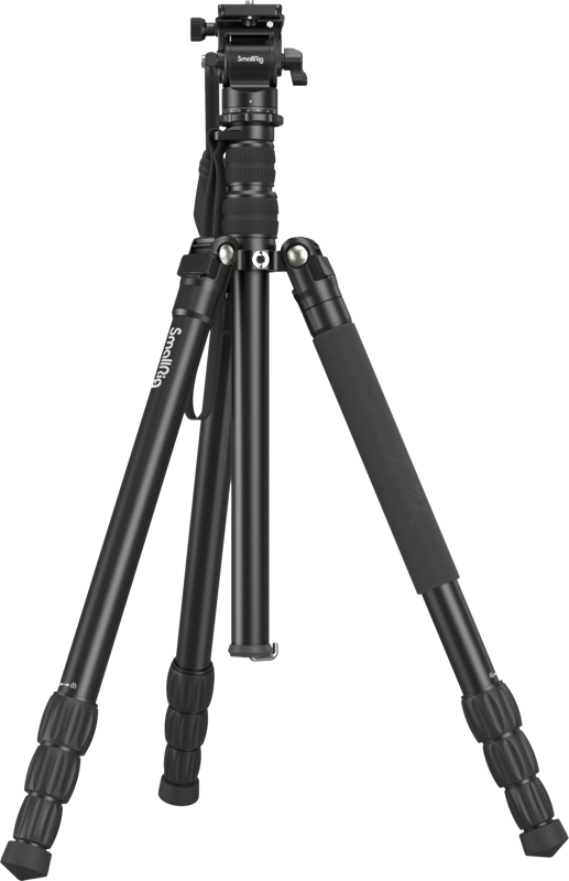 fn:119100:02