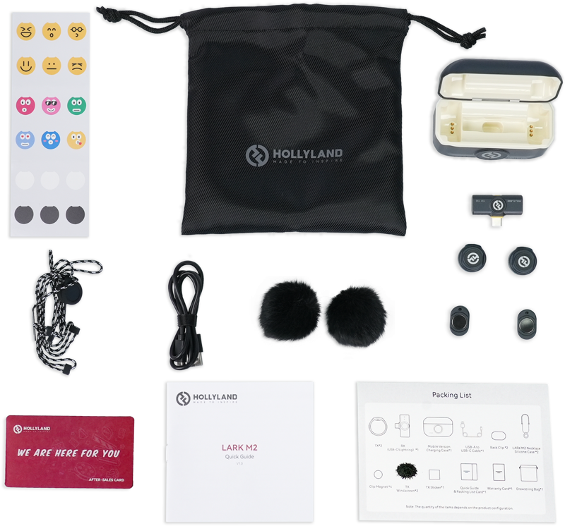 Hollyland Lark M2 USB-C - Wireless Lavalier Microphone with USB-CPlug (Duo,Shine Charcoal)