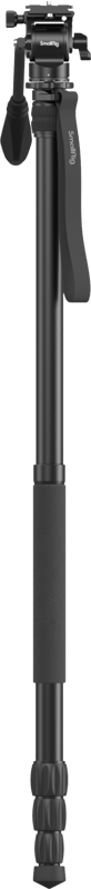 fn:119100:04