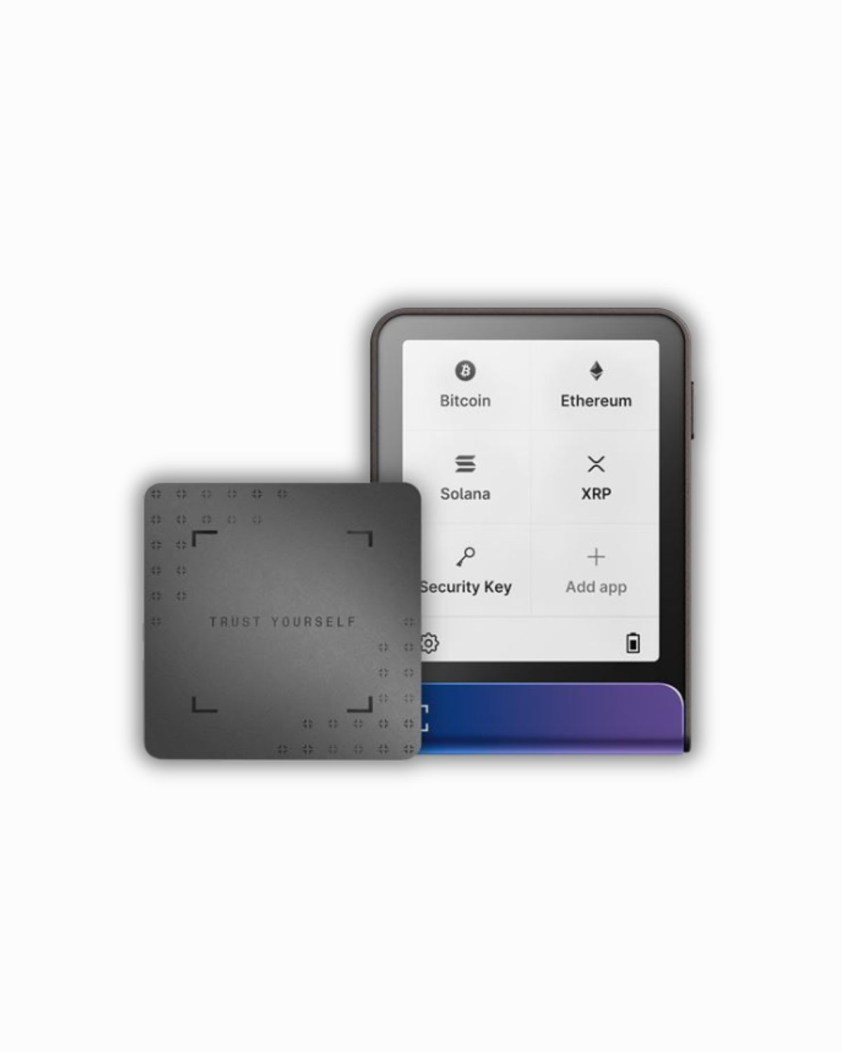 Ledger Flex cu Recovery Key